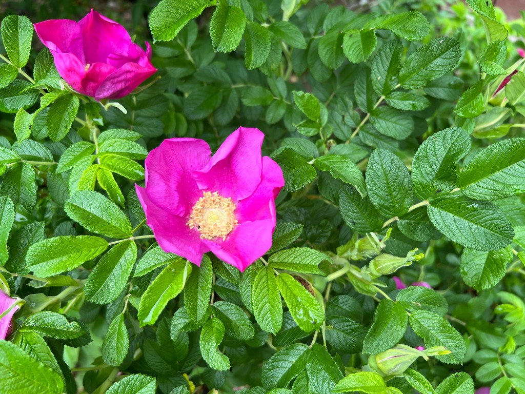 Focusing on Everything…