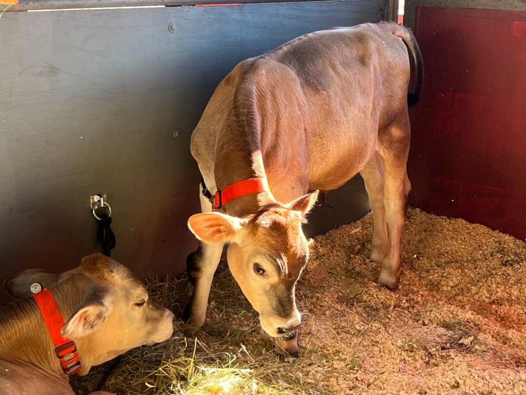 Meet Me at the&nbsp;Fair!