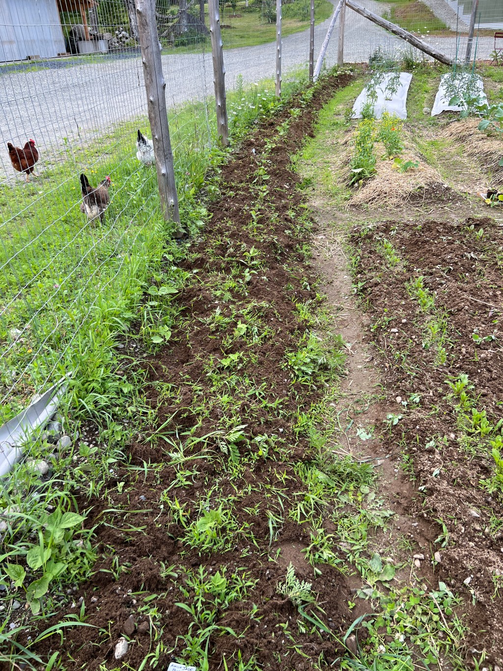 Plowing on…